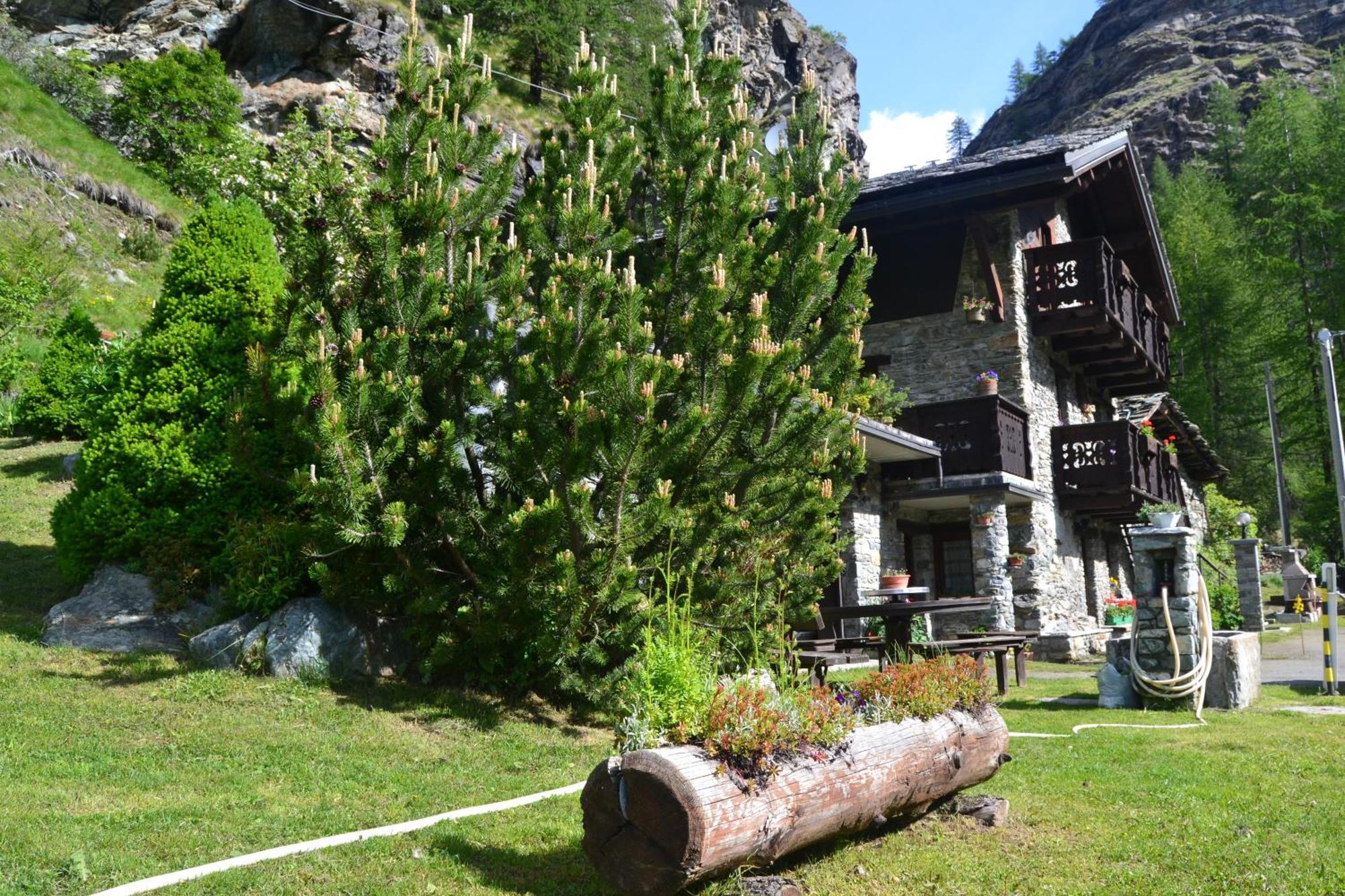Chalet La Garde Valtournenche Exterior foto