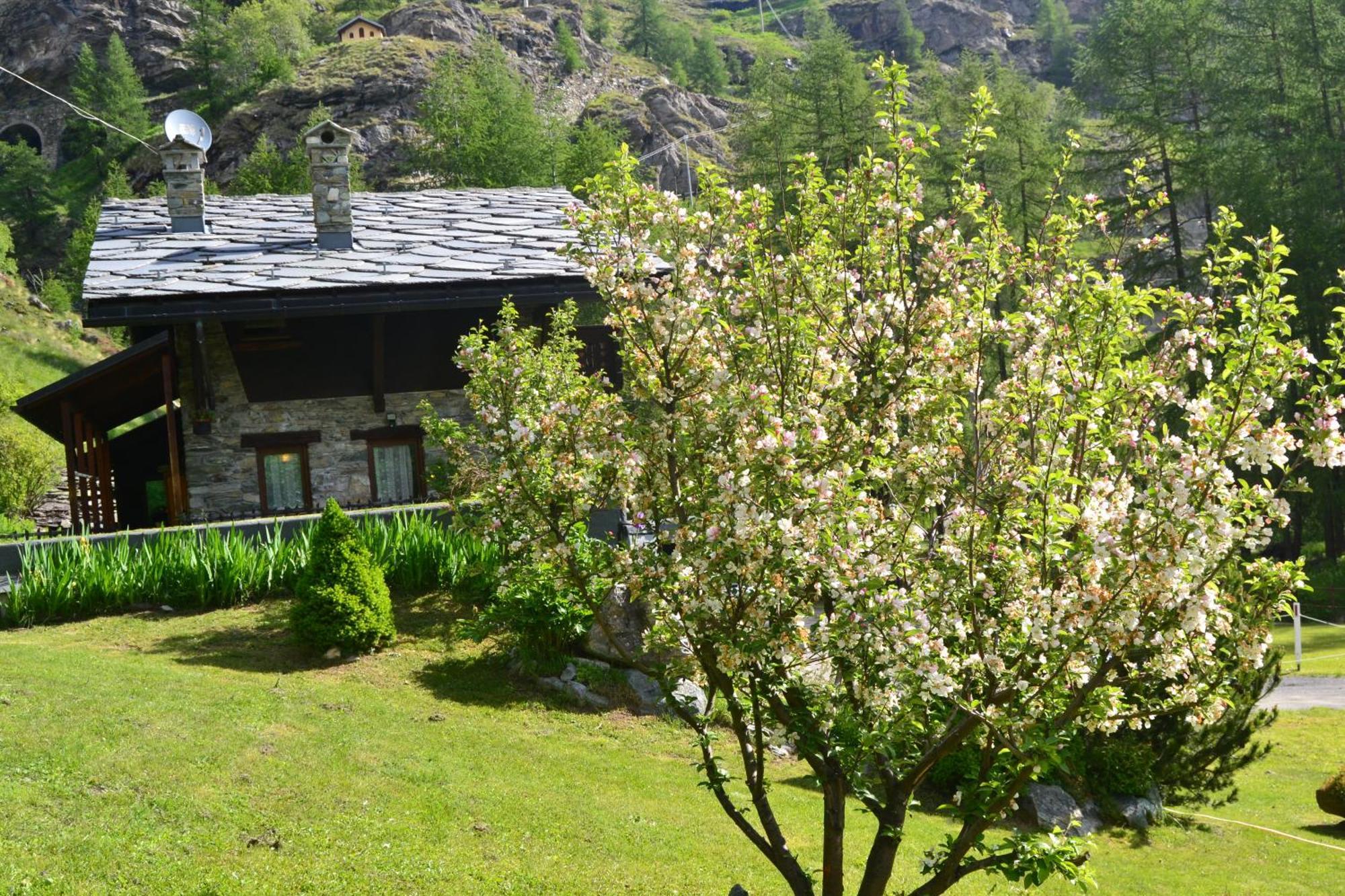 Chalet La Garde Valtournenche Exterior foto